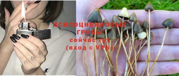дурь Новокубанск