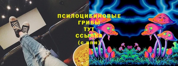 прущая мука Новодвинск