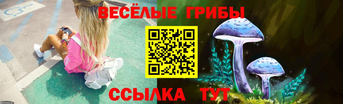 Псилоцибиновые грибы GOLDEN TEACHER  Вход с VPN  Кондопога 